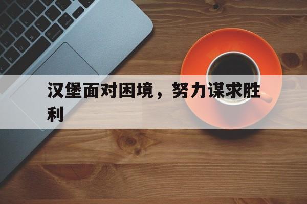 汉堡面对困境，努力谋求胜利的简单介绍
