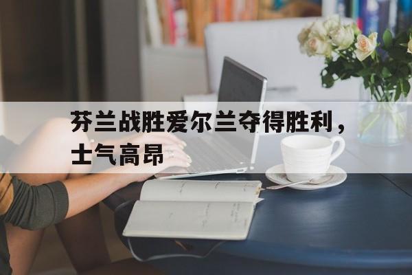 包含芬兰战胜爱尔兰夺得胜利，士气高昂的词条